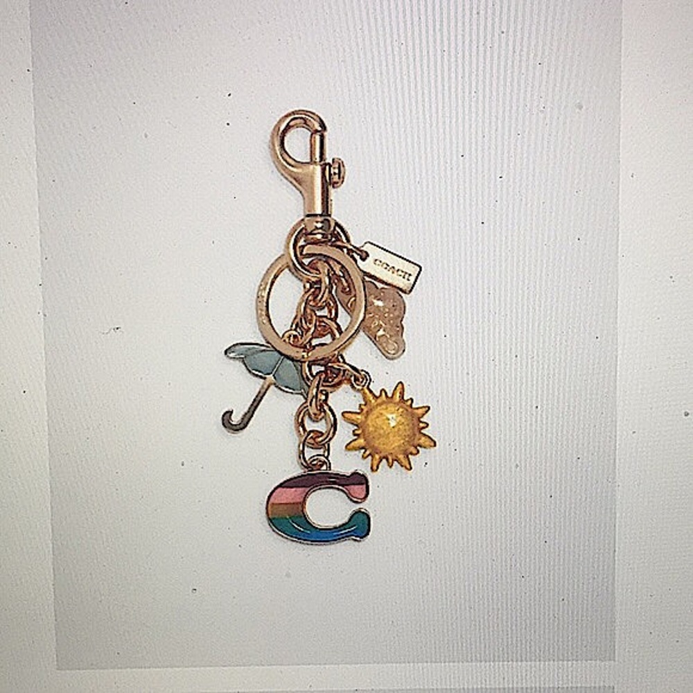 COACH - RAINBOW MIXED CHARMS BAG CHARM / KEYCHAIN - Picture 8 of 11